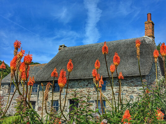 Cottage at Bessy's Cove