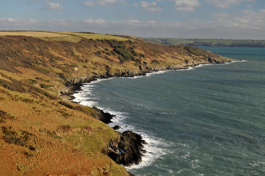 View from Rame Head