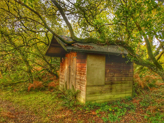 Hut in Red Moor