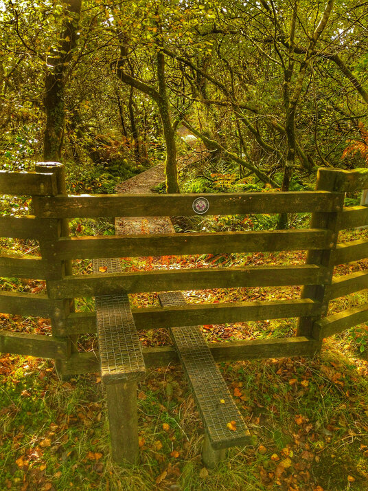 Stile at Red Moor