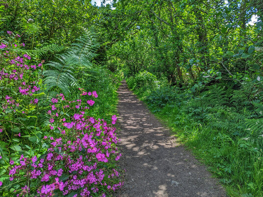 Red River Nature Reserve
