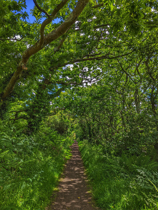 Red River Nature Reserve
