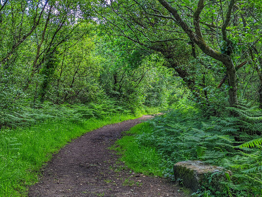 Red River Nature Reserve