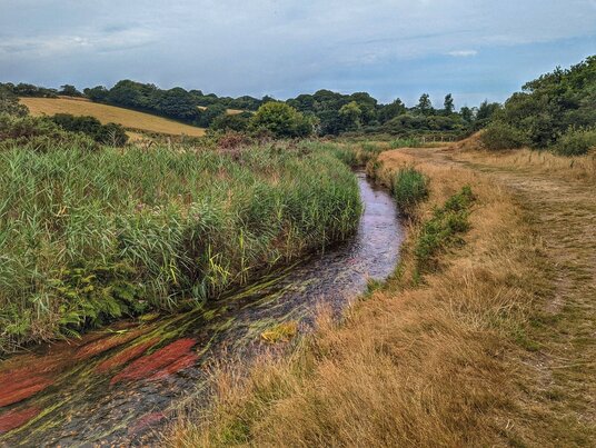 Hayle River near Relubbus
