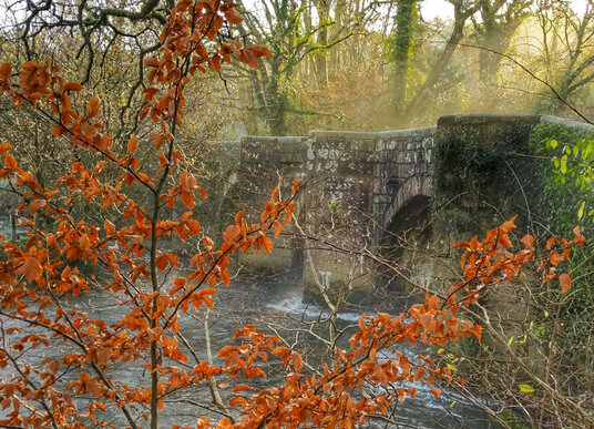 Respryn bridge