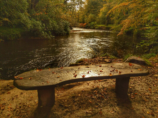 Bench overlooking the River Fowey