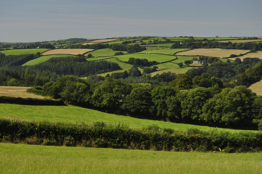 View to Restormel Castle from Fairy Cross