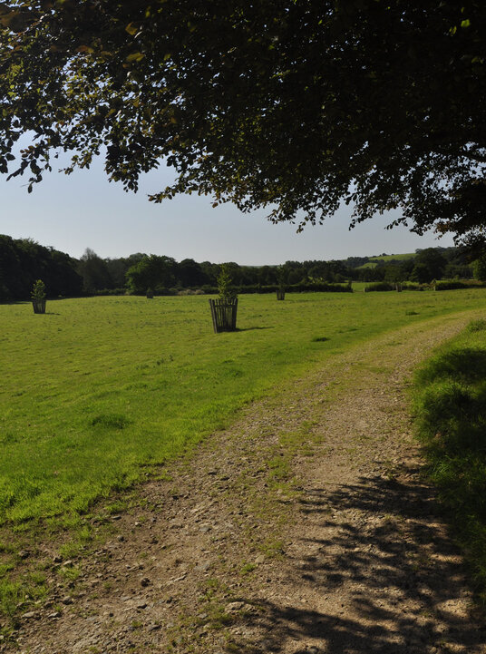 Grounds of Restormel Manor