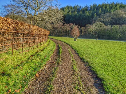 Track near Restormel Manor