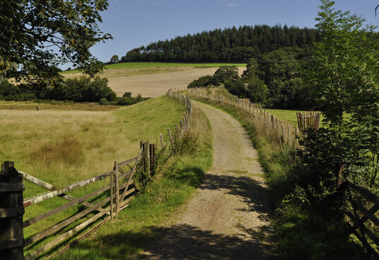 Track from Restormel Manor