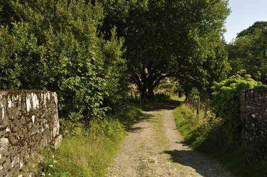Track over the railway