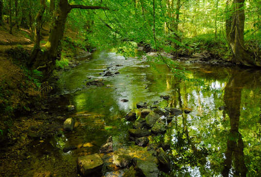 River Camel at Boscarne