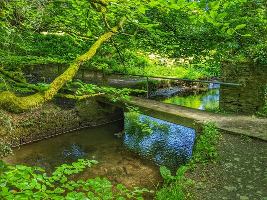 Bridge over the River Camel