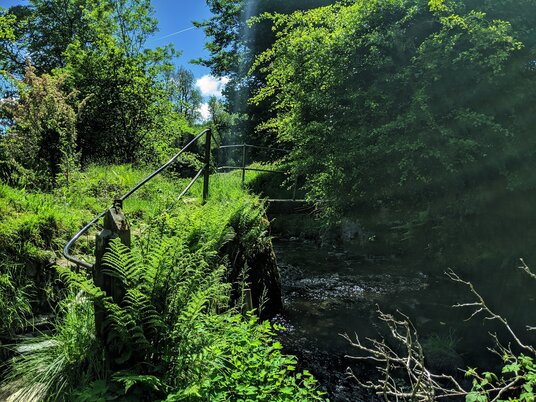 Bridge over the River Camel