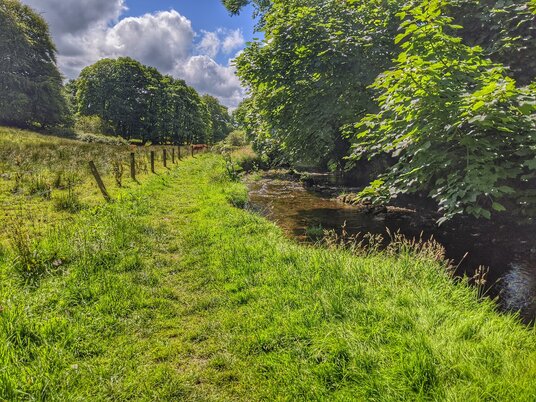 Footpath along the River Camel