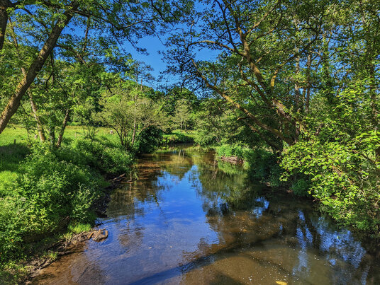 River Camel at Grogley