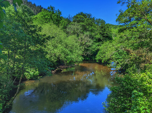 River Camel at Grogley