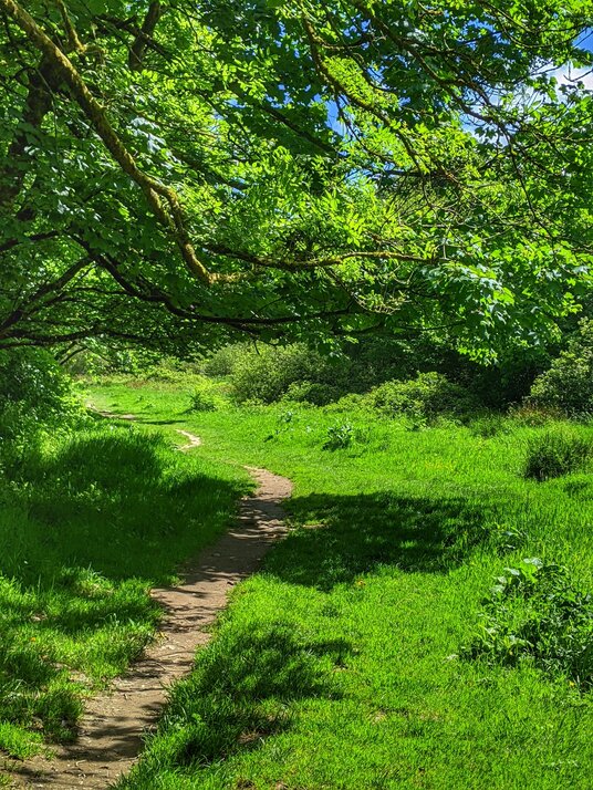 Path along the River Camel