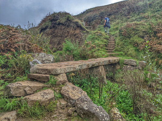 Bridge at River Cove