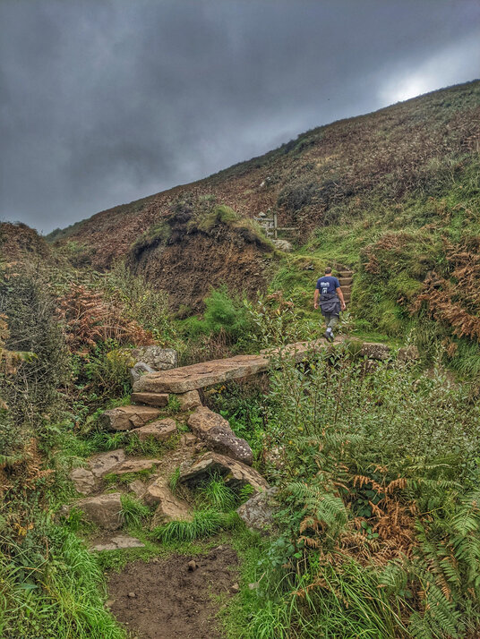 Bridge at River Cove