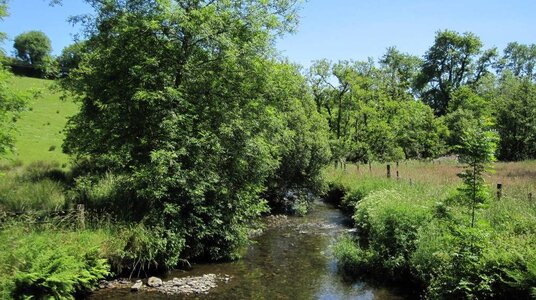 River Inny from clapper bridge