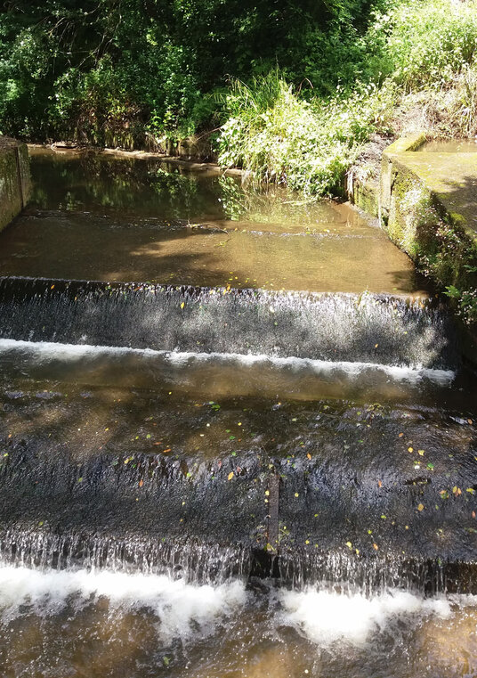 The River Kenwyn in Truro