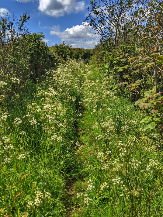 Footpath at Tregantle