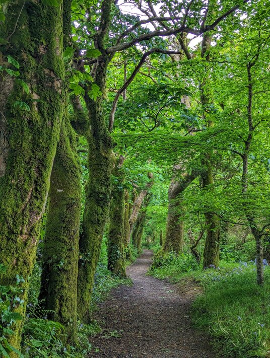 Path from Roche Church