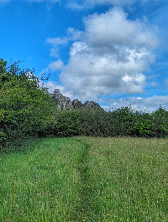Footpath to Roche Rock