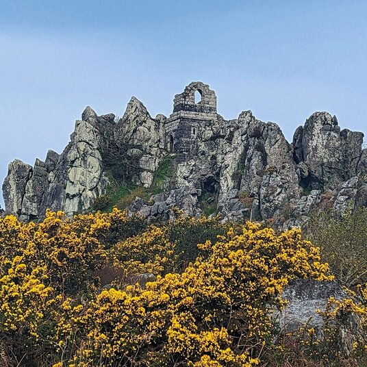Gorse at Roche Rock