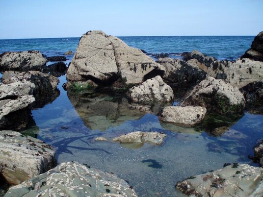 Rockpools at Lundy Bay