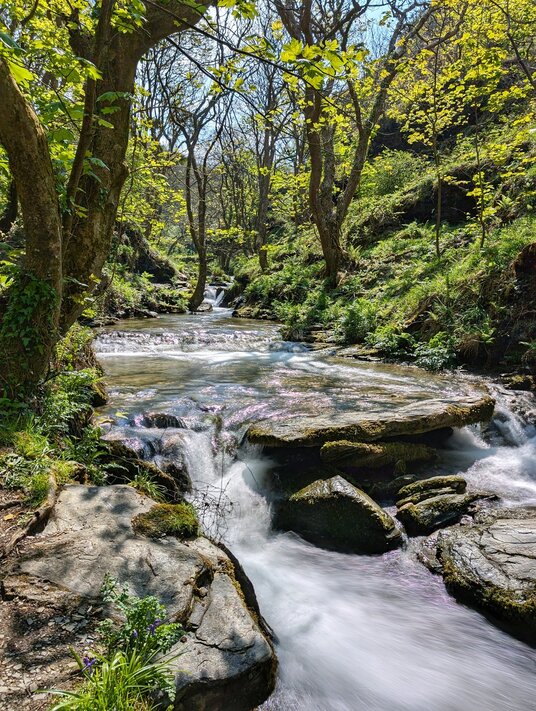 Trevillet Stream at Rocky Valley
