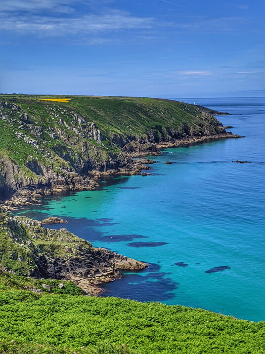 Tropical seas at Rosemergy