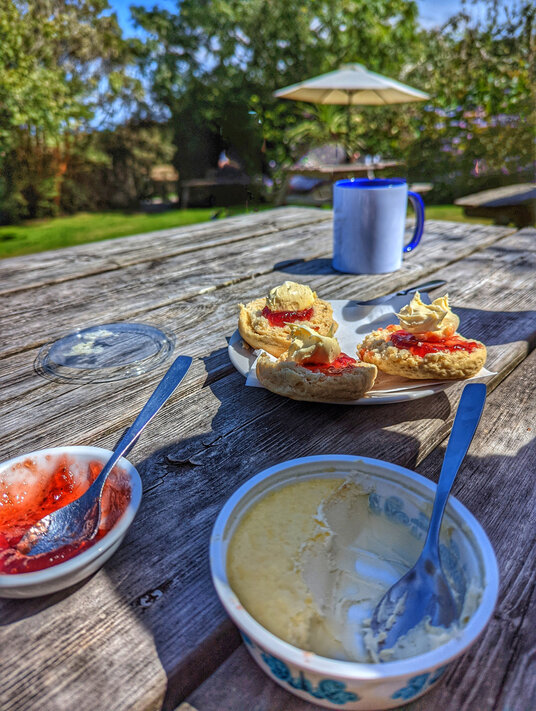 Cream Tea at Rosemergy