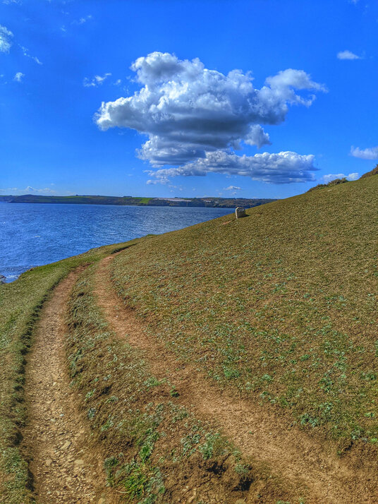 The coast path at Rosemullion Head