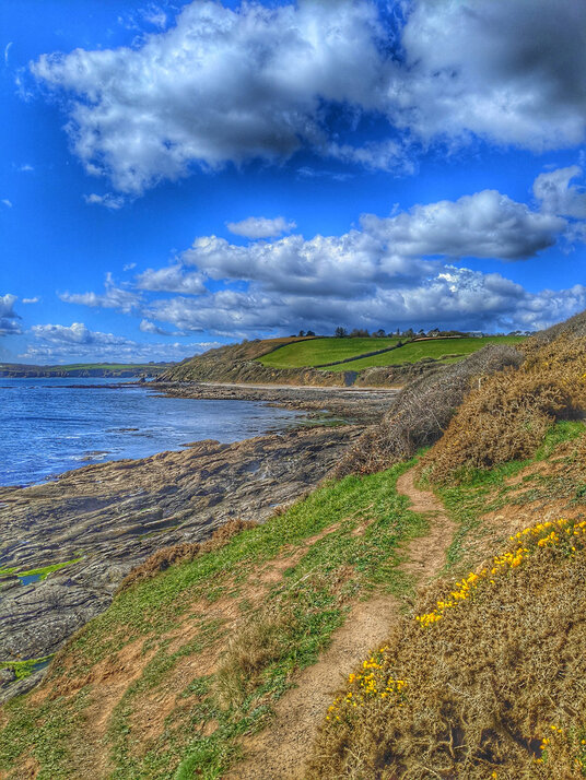 Rosemullion Head coast path