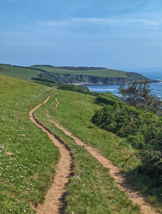 Coast path towards Rosemullion Head