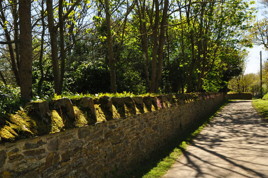 Bridleway through the Rosteague Estate