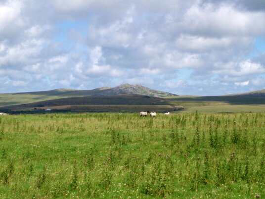 View of Roughtor from Casehill