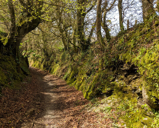 Track to St Neot