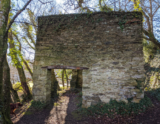 Ruins at Roundwood Quay