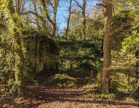 Ruins at Roundwood Quay