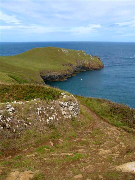 The Rumps