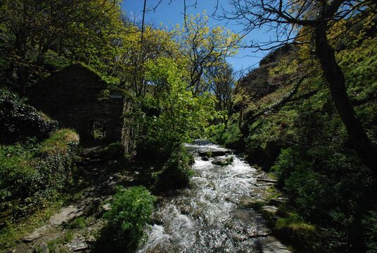 Ruined mill at Rocky Valley