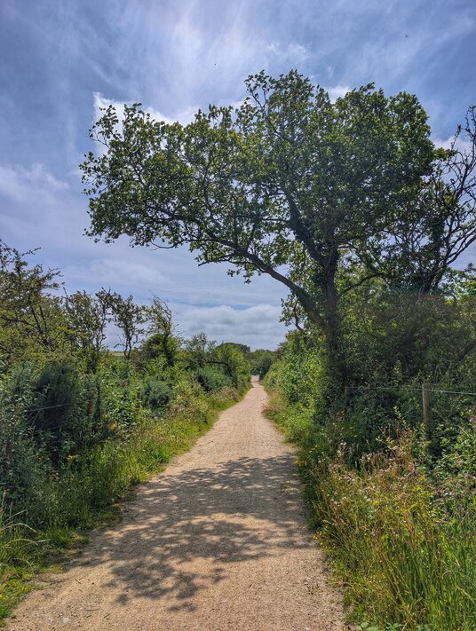 Path on the Saints Trail