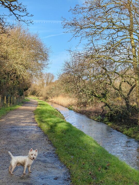 River on the Saints Trail