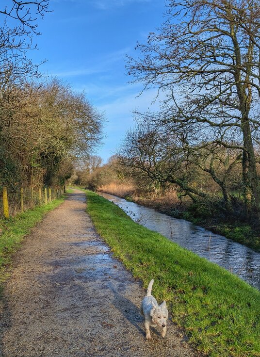 Riverside path on the Saints Trail