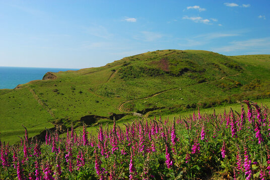 View along the Coast Path from Sandymouth