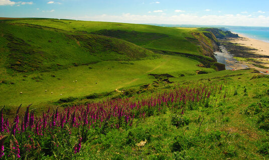 View towards Bude