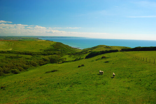 Footpath to Sandymouth
